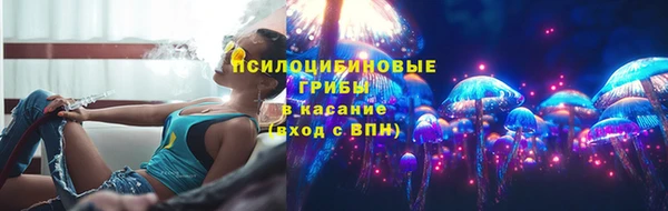 ГАЛЛЮЦИНОГЕННЫЕ ГРИБЫ Валуйки