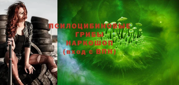 бошки Краснослободск