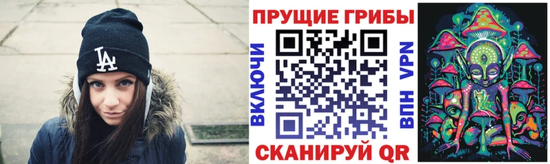 Псилоцибиновые грибы Cubensis  цены наркотик  Новоалександровск 