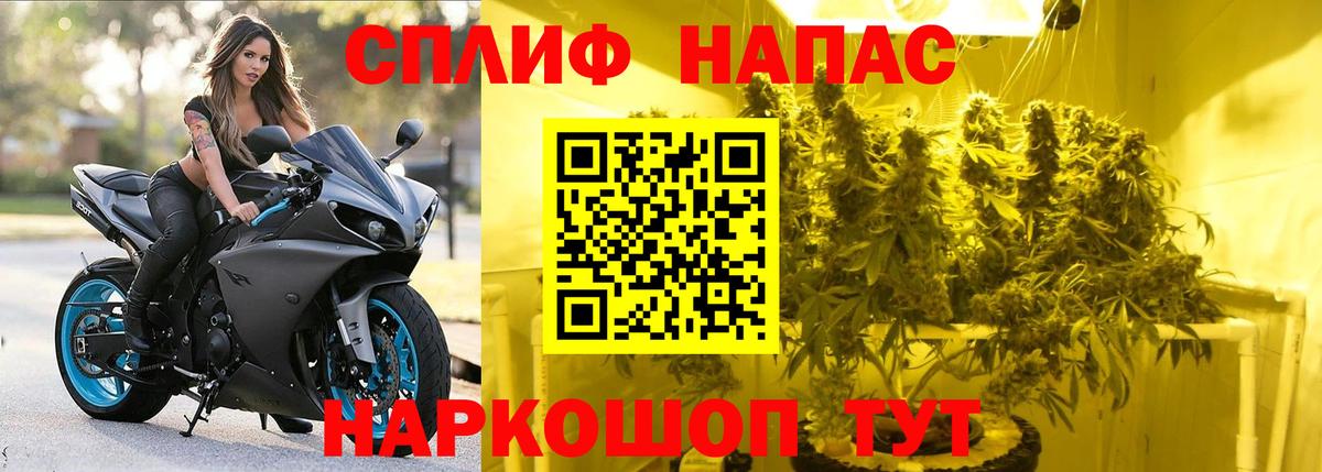 Бошки марихуана LSD WEED Новоалександровск